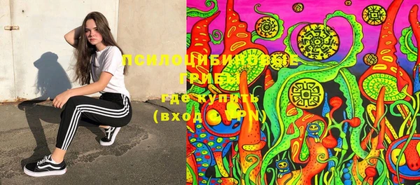 mix Алексин