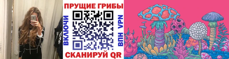 Псилоцибиновые грибы Psilocybine cubensis  Ленинск 